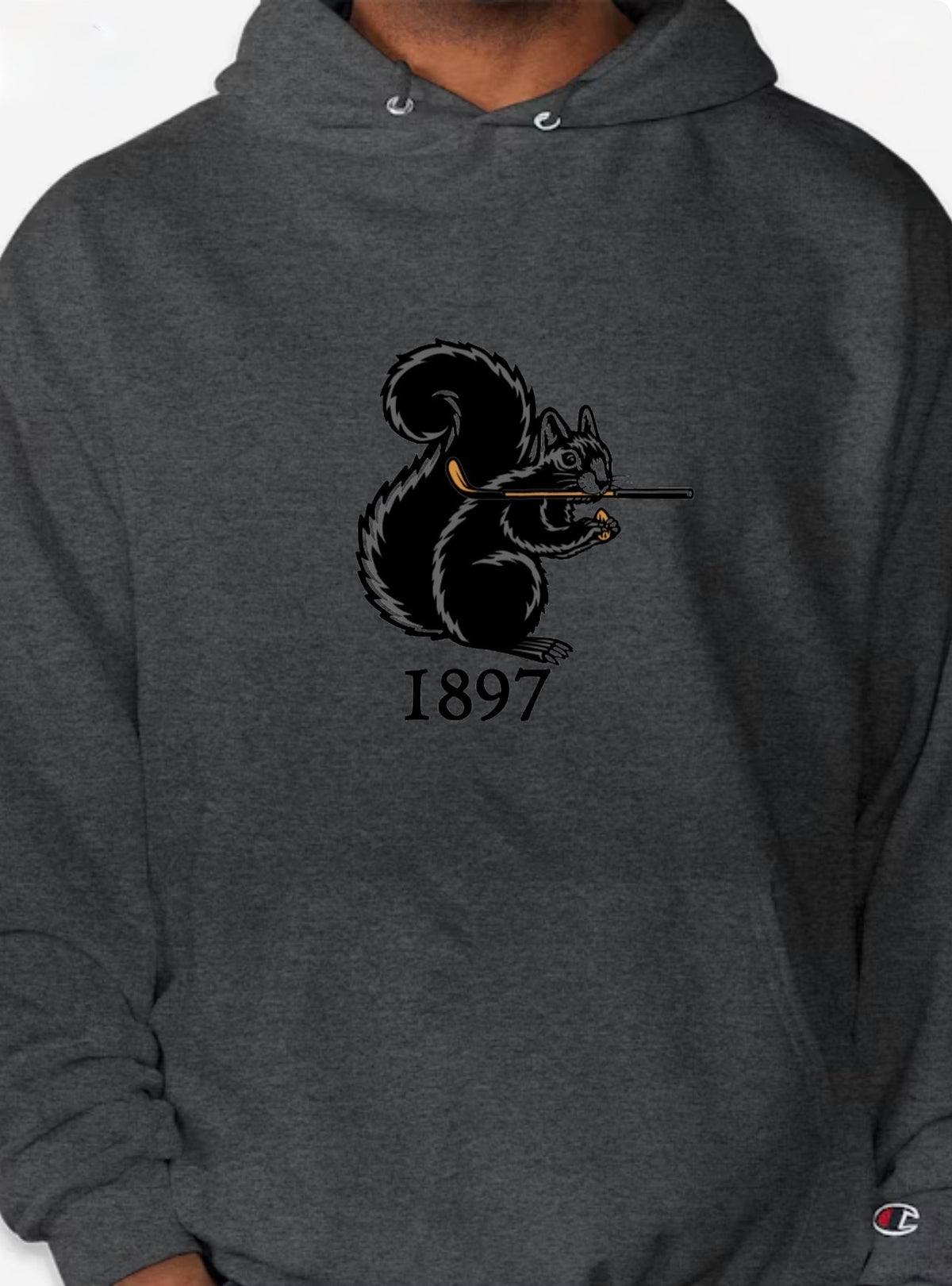 The BANNED BELLE Hoodie (assorted colors)