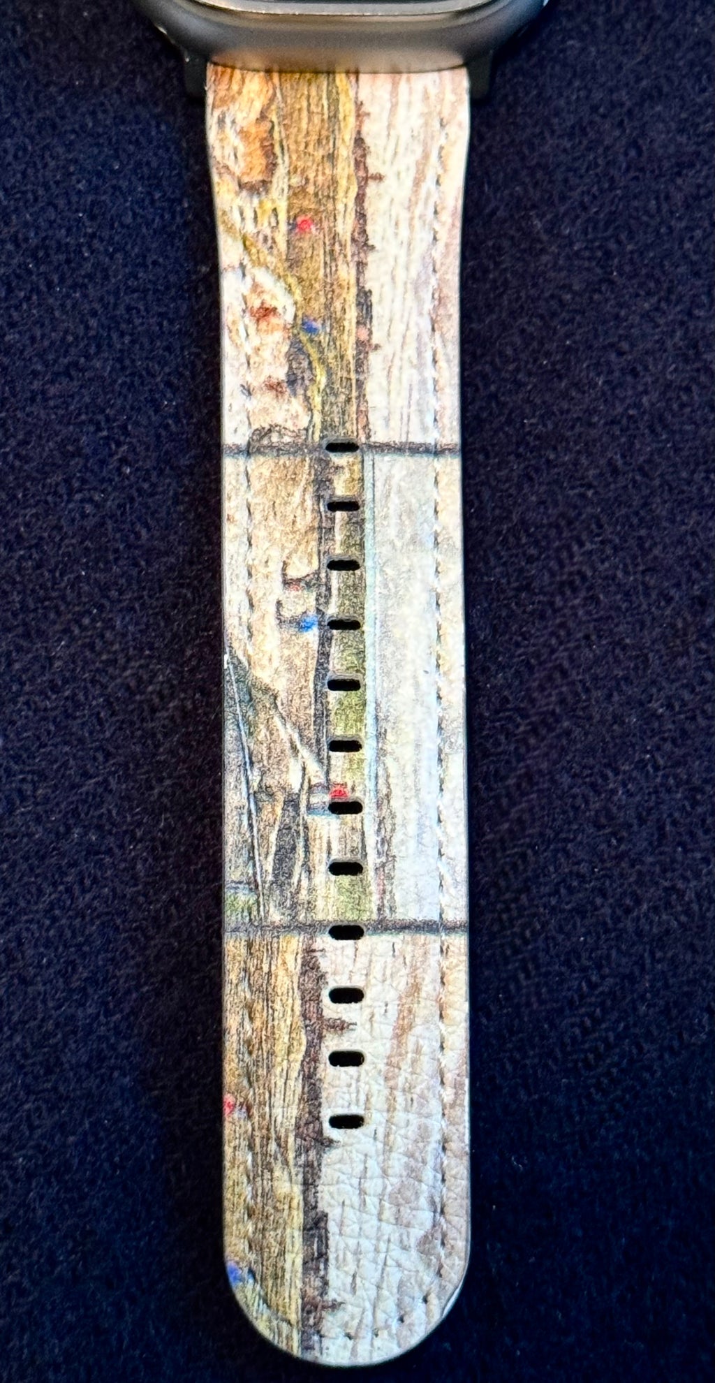 Open Rota Apple Watch Band